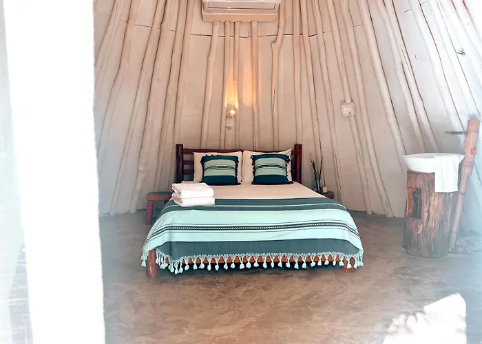 Mimosa Tulum