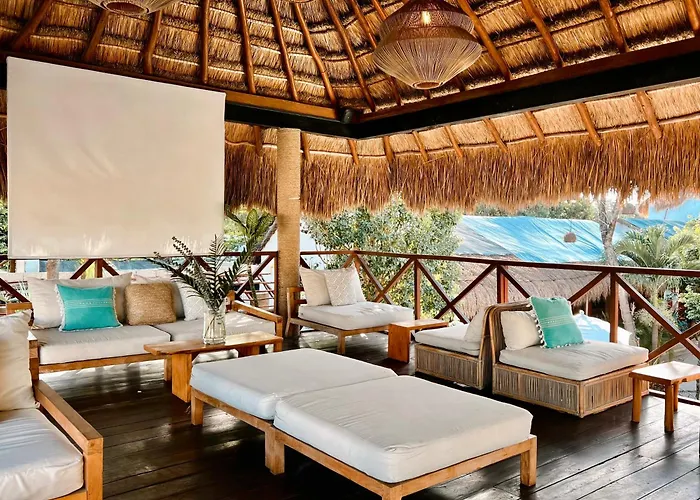 Mimosa Tulum